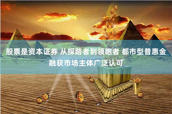 股票是资本证券 从探路者到领跑者 都市型普惠金融获市场主体广泛认可