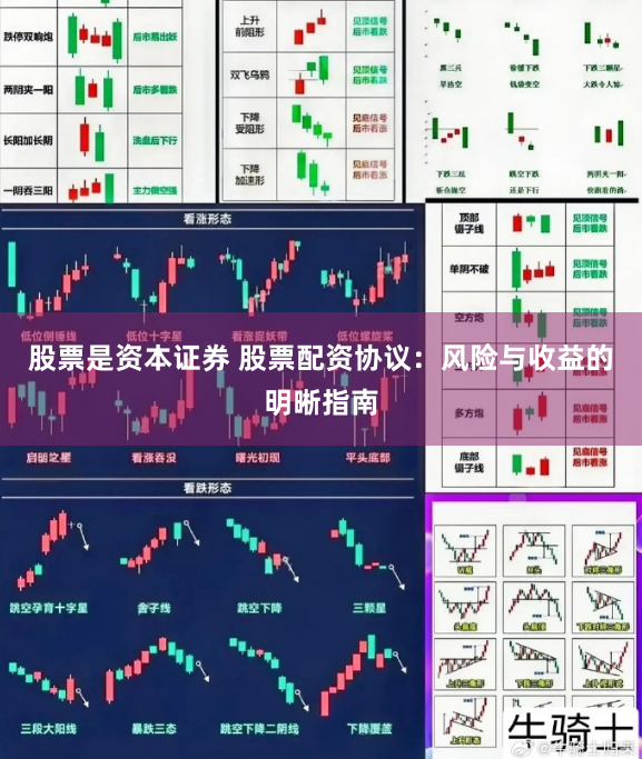 股票是资本证券 股票配资协议：风险与收益的明晰指南