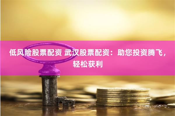 低风险股票配资 武汉股票配资：助您投资腾飞，轻松获利