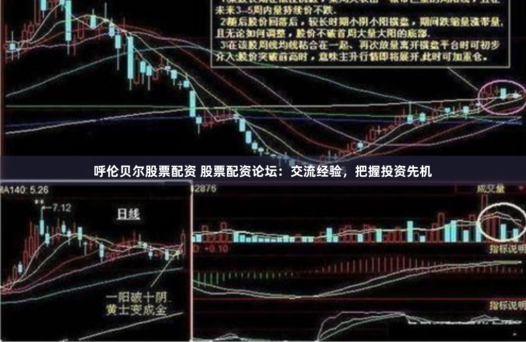 呼伦贝尔股票配资 股票配资论坛：交流经验，把握投资先机