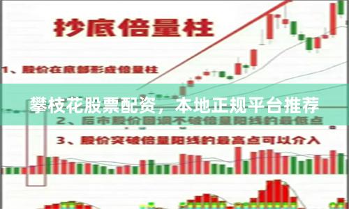攀枝花股票配资,本地正规平台推荐